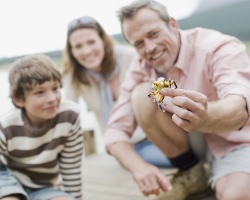 ���i�C���[�W